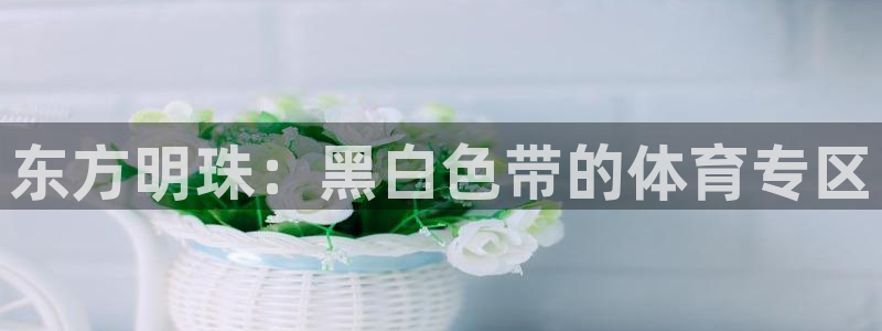 925体育直播吧：东方明珠：黑白色带的体育专区