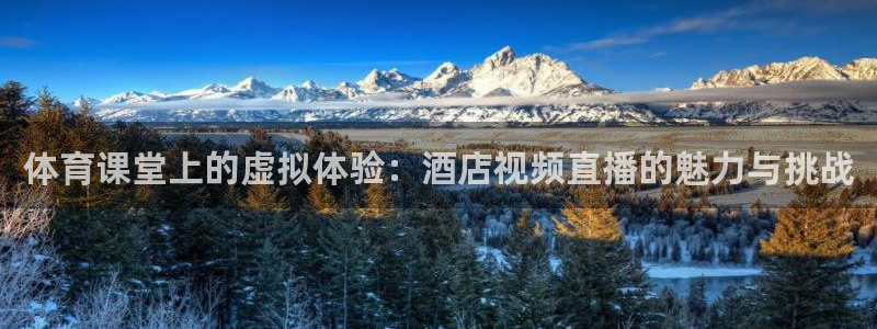 nba直播吧在线直播免费观看直播乐球：体育课堂上的虚拟体验：酒店视频直播的魅力与挑战