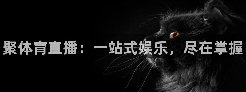 天天看球直播吧免费观看：聚体育直播：一站式娱乐，尽在掌握
