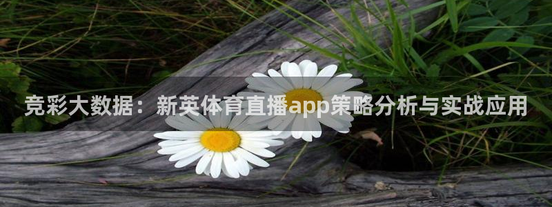 98直播吧篮球直播在线观看：竞彩大数据：新英体育直播app策略分析与实战应用
