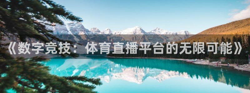 321直播吧nba：《数字竞技：体育直播平台的无限可能》