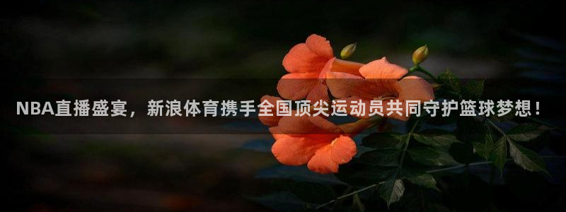 龙门直播吧：NBA直播盛宴，新浪体育携手全国顶尖运动员共同守护篮球梦想！