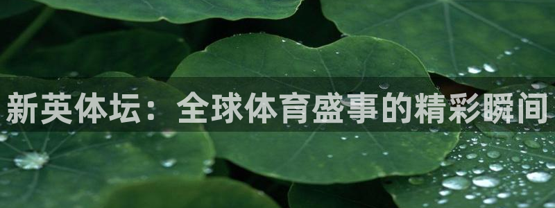 直播吧足球在线直播免费观看：新英体坛：全球体育盛事的精彩瞬间