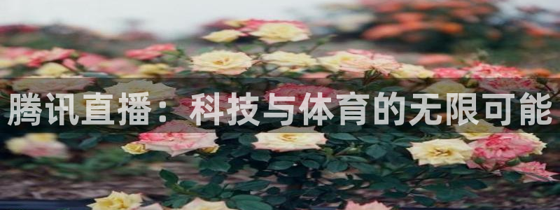 直播吧nba直播吧在线直播：腾讯直播：科技与体育的无限可能